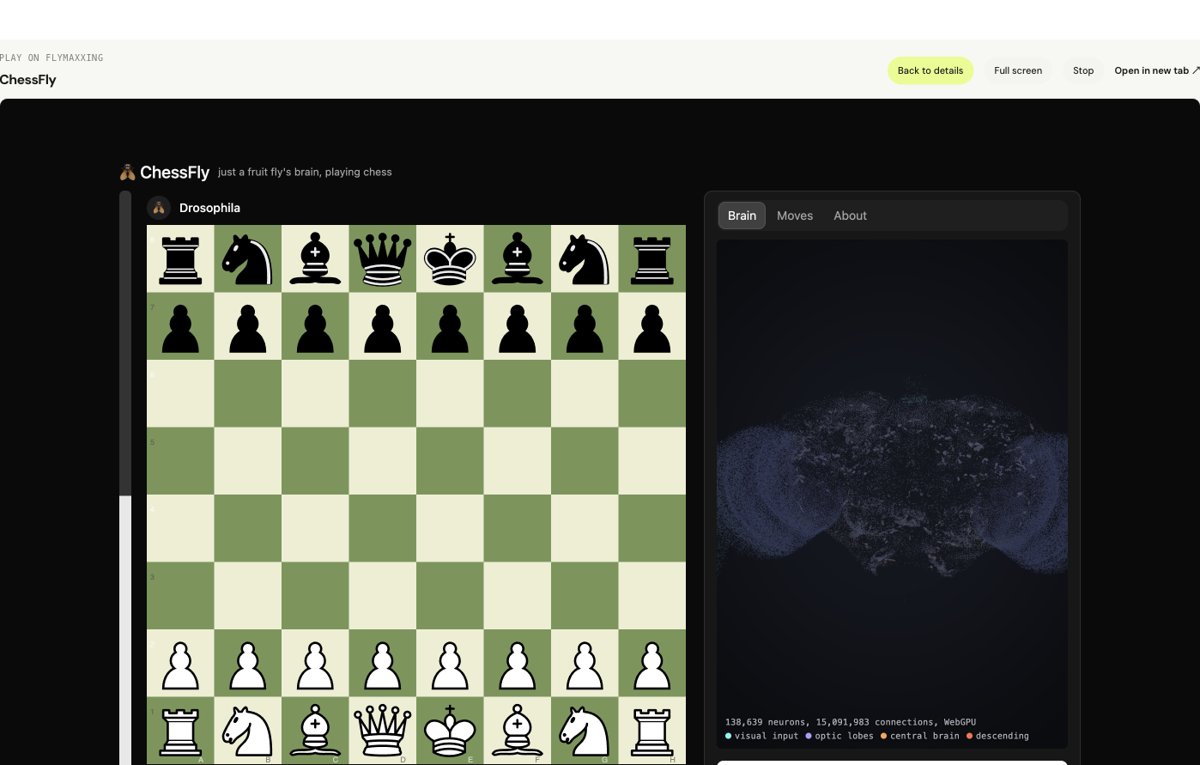 ChessFly project preview