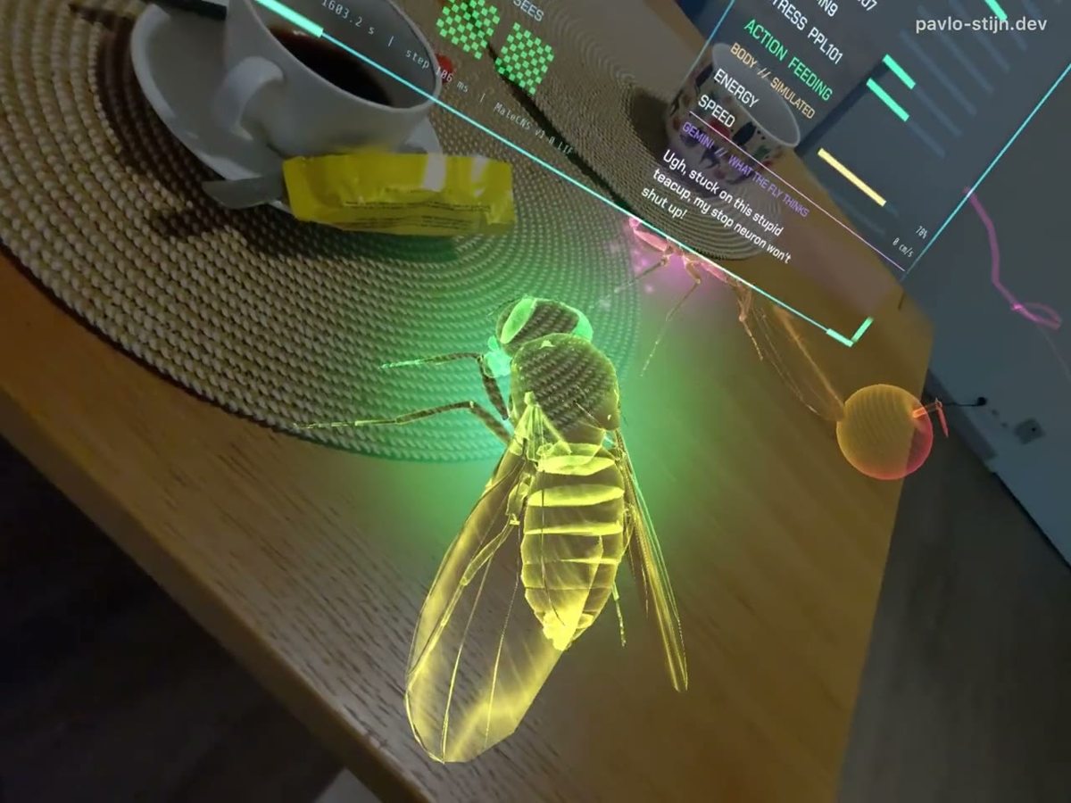 CyberFly project preview
