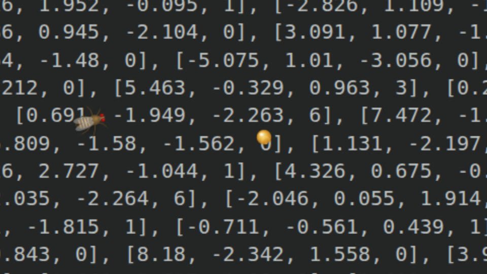 DesktopFly for Linux project preview