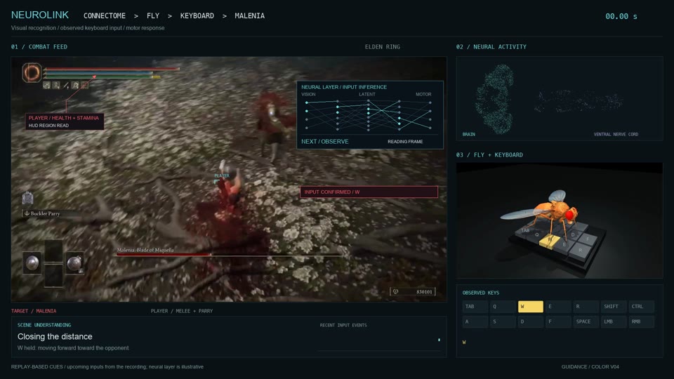 FlyBrain / Elden Ring project preview