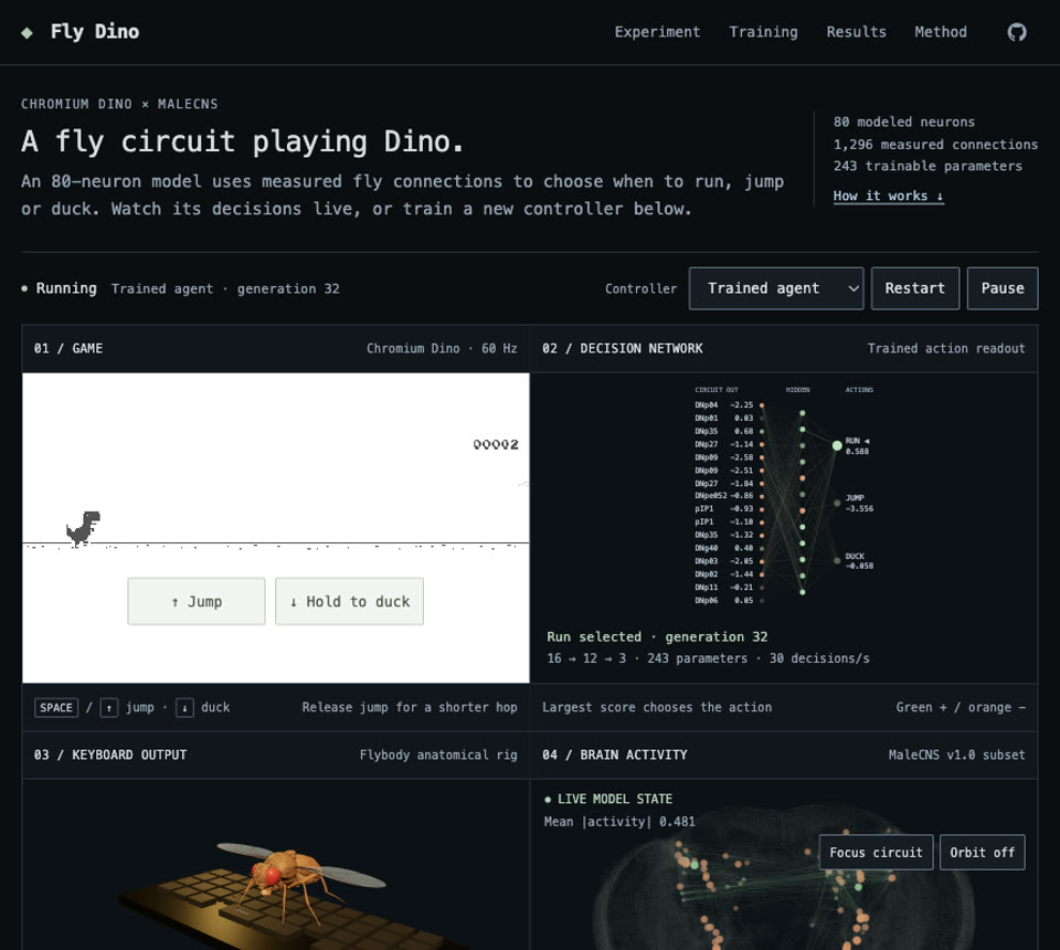 Fly Dino project preview