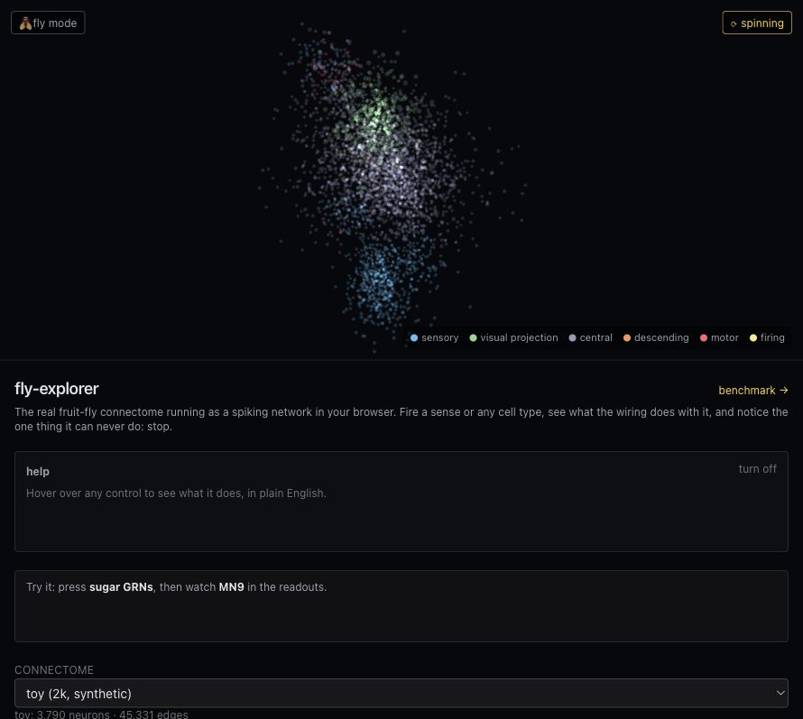 fly-explorer project preview