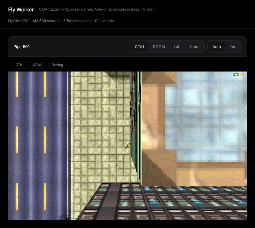 Fly Worker project preview