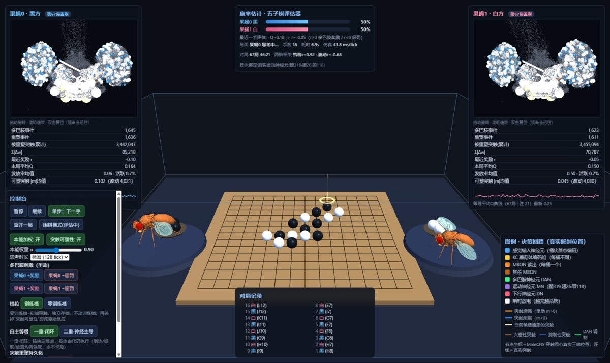 FlyGo project preview