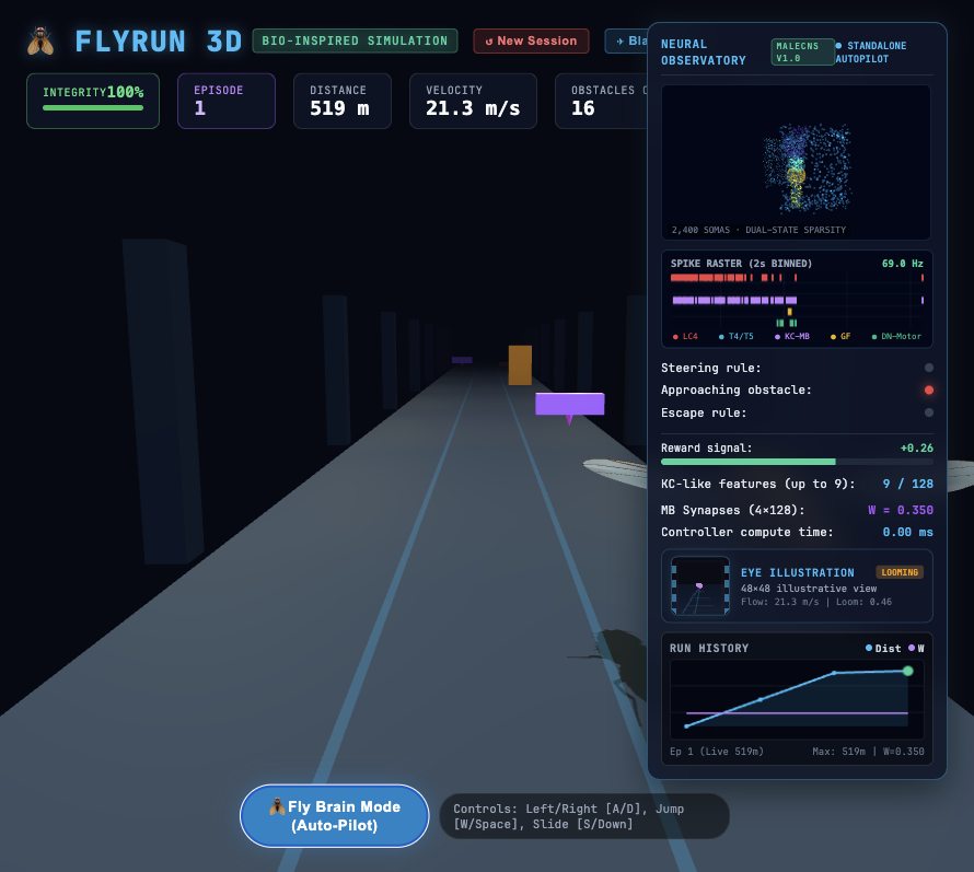 FlyRun project preview