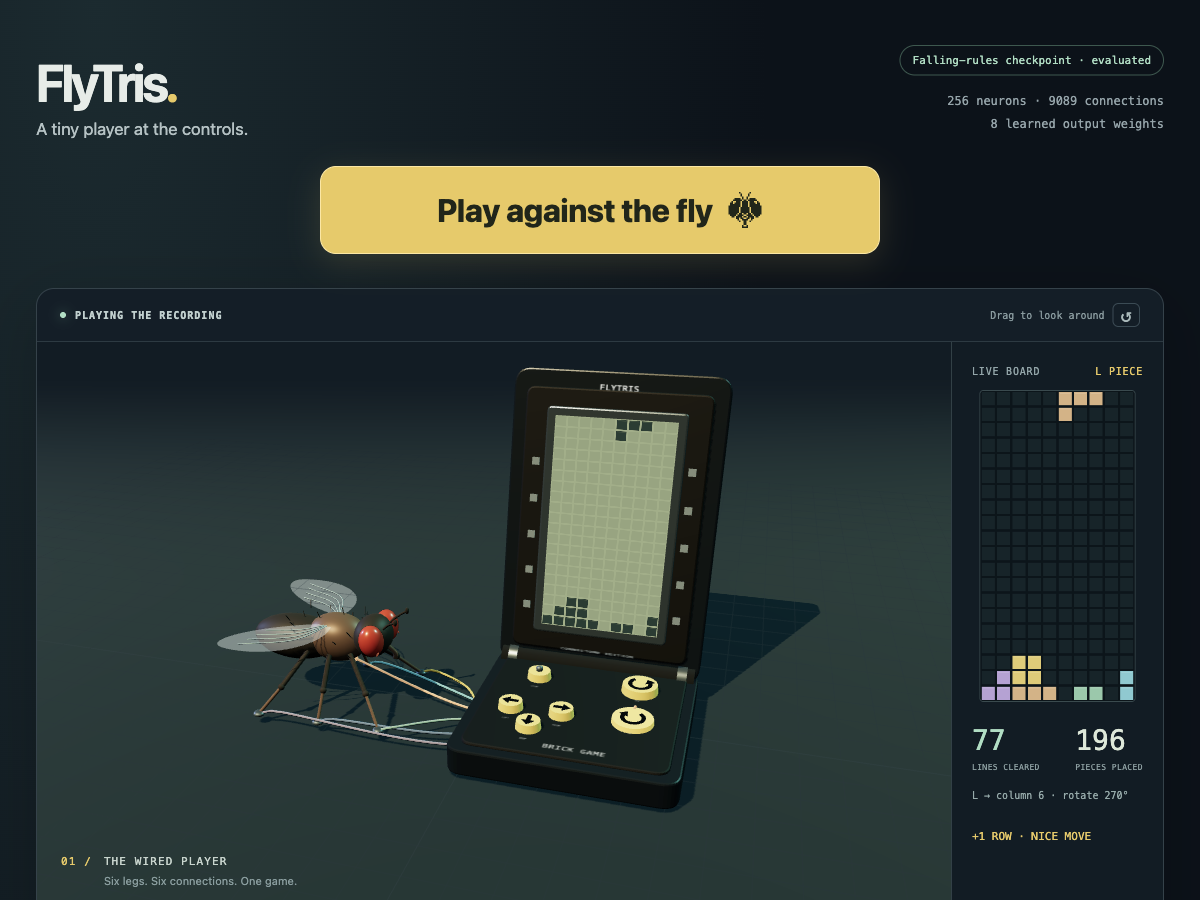 FlyTris project preview