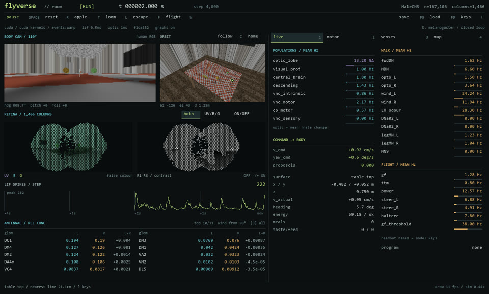 flyverse project preview