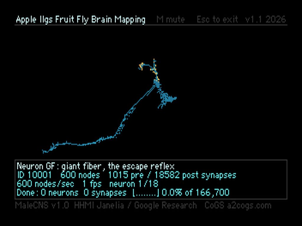 GS FLY project preview