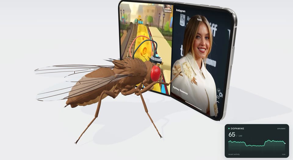 iPhone doomscrolling fly project preview