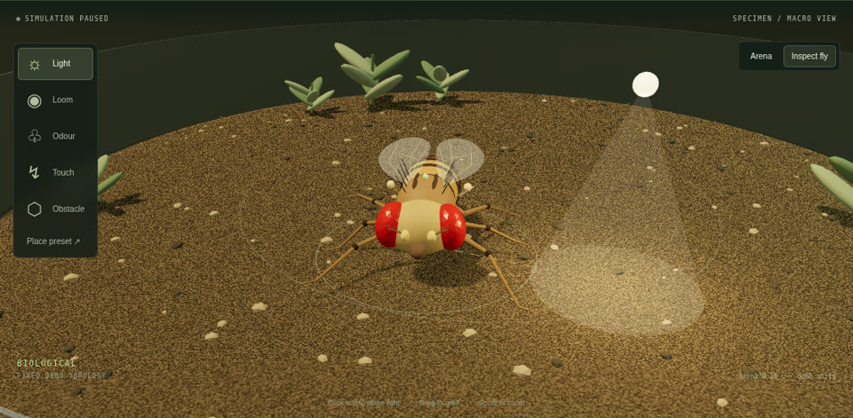 NeuroTerrarium project preview