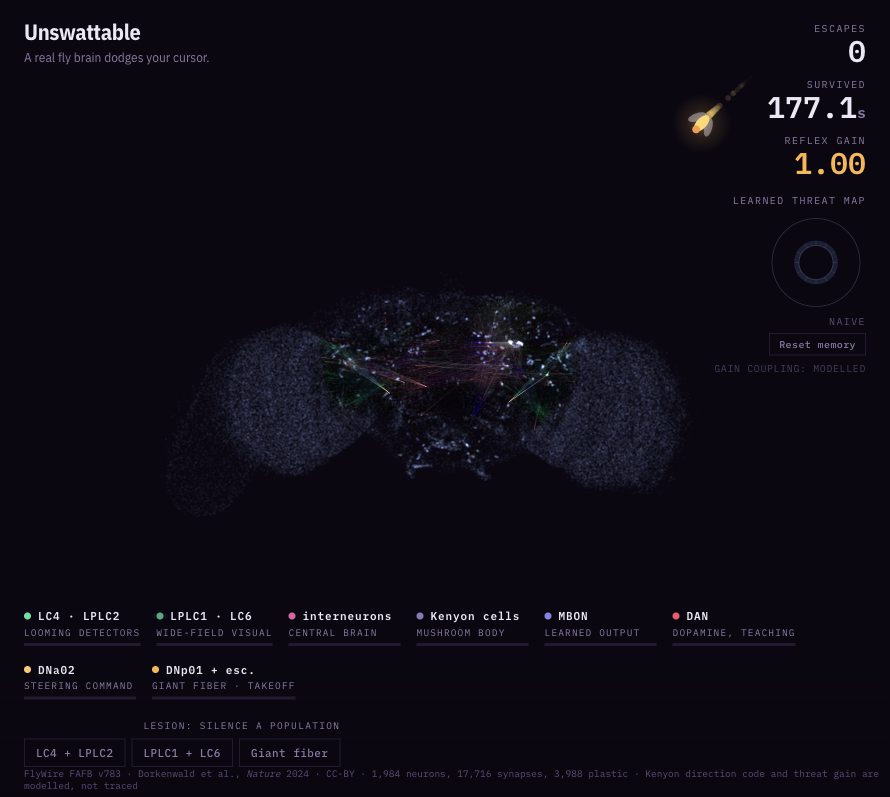 Unswattable project preview